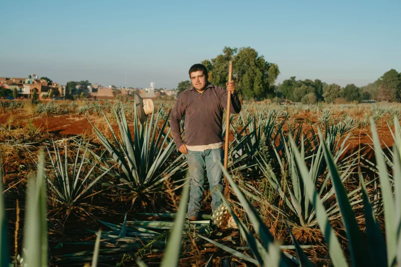 The Brothers Behind the Bottle: Family Dynasties That Built Jalisco's Tequila Legacy